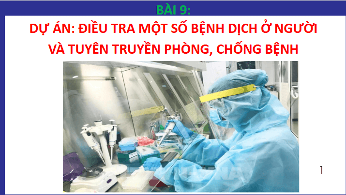 Giáo án điện tử Chuyên đề Sinh 11 Chân trời sáng tạo Bài 9: Dự án: Điều tra một số dịch bệnh phổ biến ở người và tuyên truyền phòng chống | PPT Chuyên đề Sinh học 11