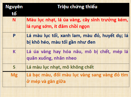 Giáo án điện tử Chuyên đề Sinh 11 Chân trời sáng tạo Ôn tập chuyên đề 1 | PPT Chuyên đề Sinh học 11