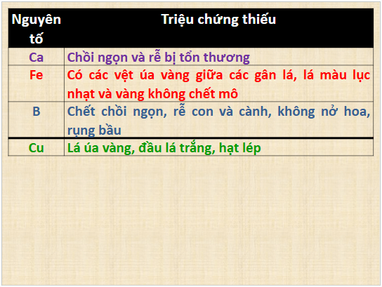 Giáo án điện tử Chuyên đề Sinh 11 Chân trời sáng tạo Ôn tập chuyên đề 1 | PPT Chuyên đề Sinh học 11