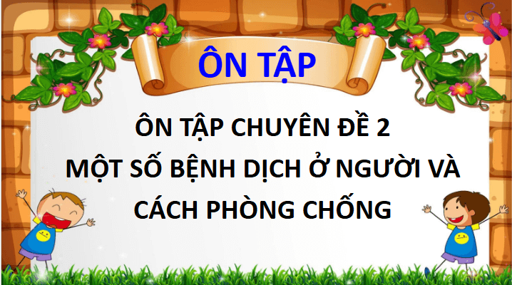 Giáo án điện tử Chuyên đề Sinh 11 Chân trời sáng tạo Ôn tập chuyên đề 2 | PPT Chuyên đề Sinh học 11