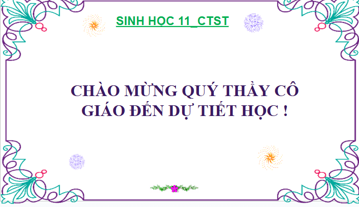 Giáo án điện tử Chuyên đề Sinh 11 Chân trời sáng tạo Ôn tập chuyên đề 3 | PPT Chuyên đề Sinh học 11
