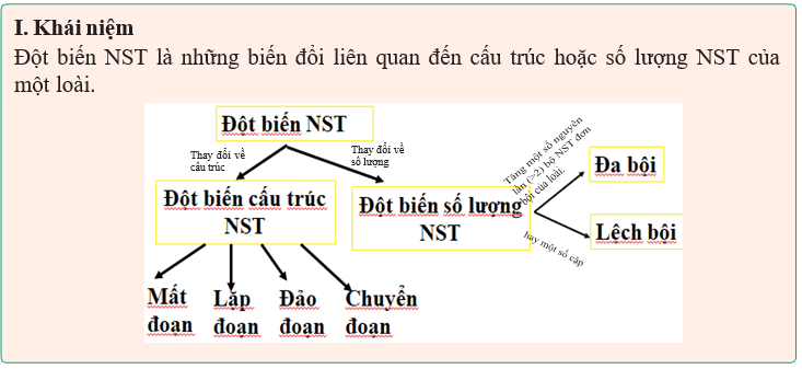 Giáo án Sinh học 12 Kết nối tri thức Bài 12: Đột biến nhiễm sắc thể (ảnh 3)