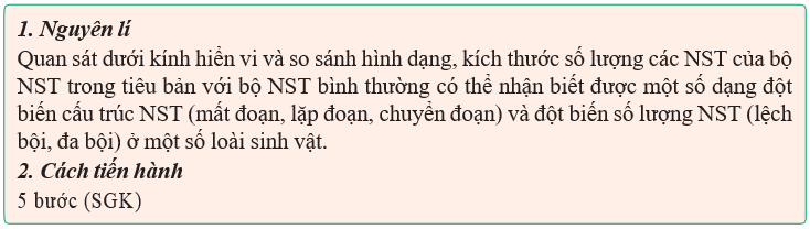 Giáo án Sinh học 12 Kết nối tri thức Bài 14: Thực hành: Quan sát một số dạng đột biến nhiễm sắc thể (ảnh 1)