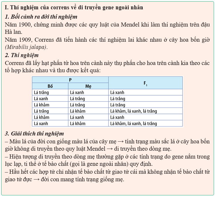 Giáo án Sinh học 12 Kết nối tri thức Bài 15: Di truyền gene ngoài nhân (ảnh 2)