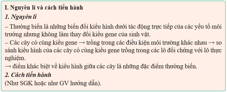 Giáo án Sinh học 12 Kết nối tri thức Bài 17: Thực hành: Thí nghiệm về thường biến ở cây trồng (ảnh 1)