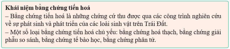 Giáo án Sinh học 12 Kết nối tri thức Bài 19: Các bằng chứng tiến hoá (ảnh 1)