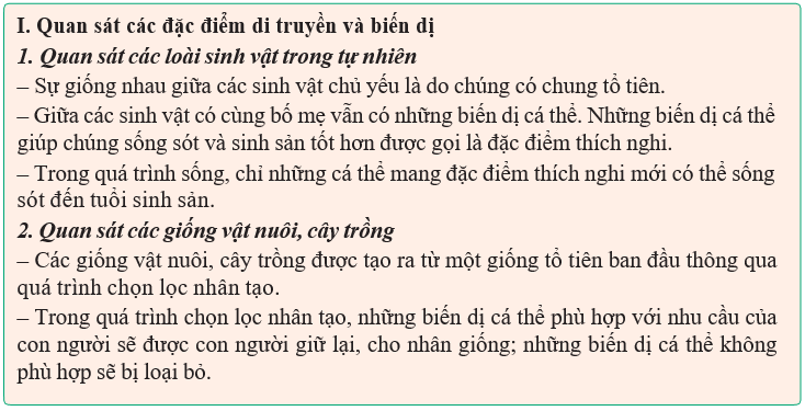 Giáo án Sinh học 12 Kết nối tri thức Bài 20: Quan niệm của Darwin về chọn lọc tự nhiên và hình thành loài (ảnh 2)