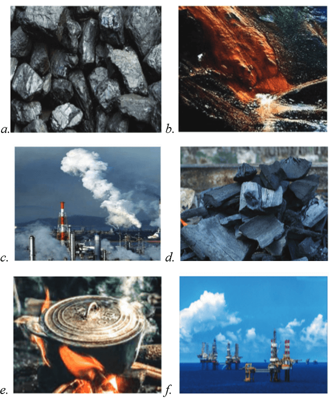 Giáo án Sinh học 12 Cánh diều Bài 24: Chu trình sinh - địa - hoá và sinh quyển