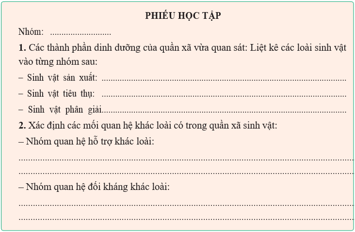 Giáo án Sinh học 12 Kết nối tri thức Bài 27: Thực hành: Tìm hiểu cấu trúc dinh dưỡng của quần xã trong tự nhiên (ảnh 1)