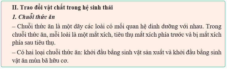 Giáo án Sinh học 12 Kết nối tri thức Bài 29: Trao đổi vật chất và chuyển hoá năng lượng trong hệ sinh thái (ảnh 3)