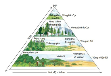 Giáo án Sinh học 12 Kết nối tri thức Bài 31: Sinh quyển, khu sinh học và chu trình sinh - địa - hóa (ảnh 2) width=