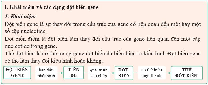 Giáo án Sinh học 12 Kết nối tri thức Bài 4: Đột biến gene (ảnh 2)