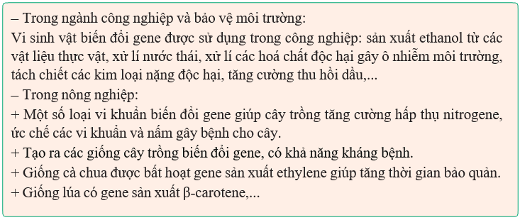 Giáo án Sinh học 12 Kết nối tri thức Bài 5: Công nghệ di truyền (ảnh 3)