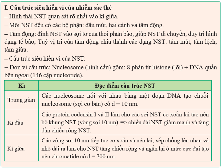 Giáo án Sinh học 12 Kết nối tri thức Bài 7: Cấu trúc và chức năng của nhiễm sắc thể (ảnh 1)