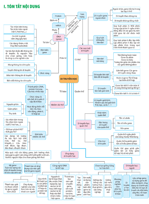 Giáo án Sinh học 12 Cánh diều Ôn tập Phần 5