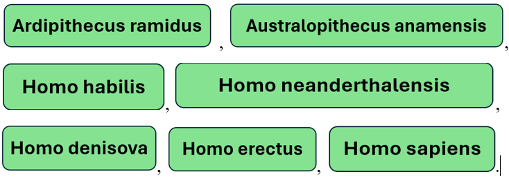 Giáo án Sinh học 12 Cánh diều Ôn tập Phần 6