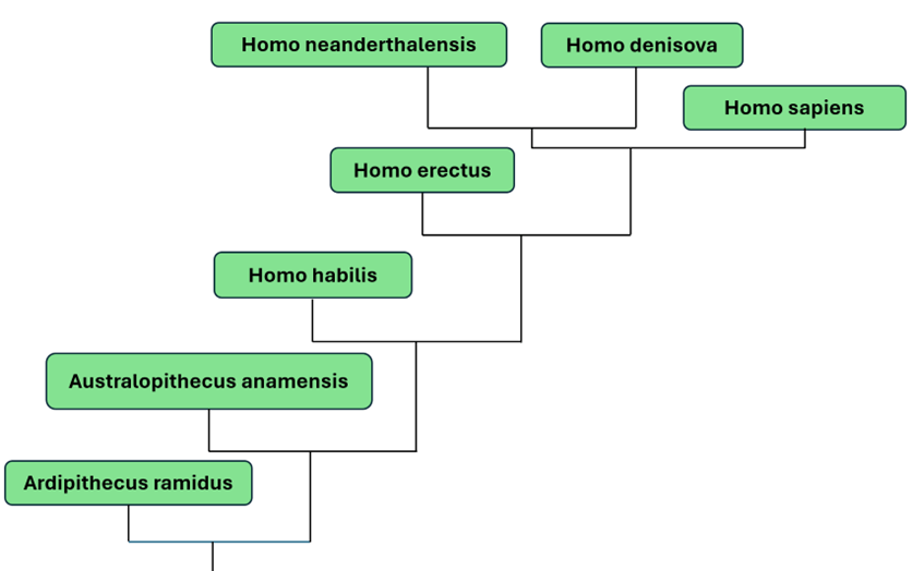 Giáo án Sinh học 12 Cánh diều Ôn tập Phần 6