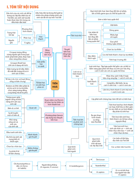 Giáo án Sinh học 12 Cánh diều Ôn tập Phần 6