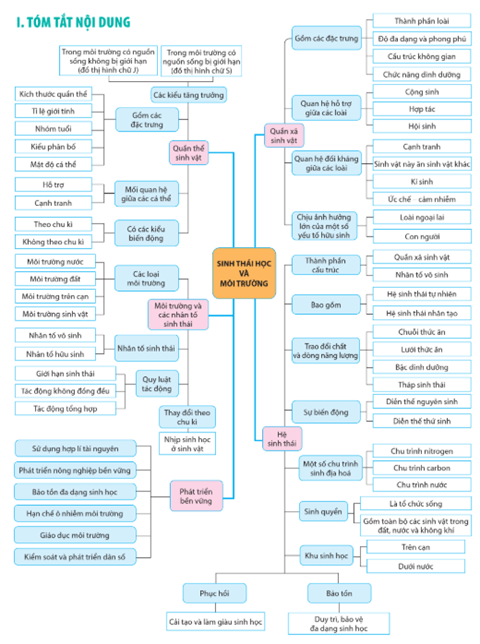 Giáo án Sinh học 12 Cánh diều Ôn tập Phần 7