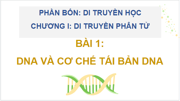 Giáo án điện tử Sinh 12 Kết nối tri thức Bài 1: DNA và cơ chế tái bản DNA | PPT Sinh học 12