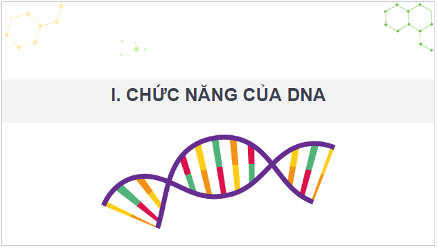 Giáo án điện tử Sinh 12 Kết nối tri thức Bài 1: DNA và cơ chế tái bản DNA | PPT Sinh học 12