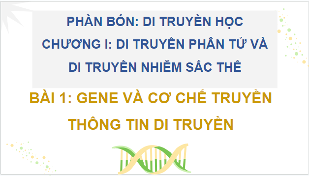 Giáo án điện tử Sinh 12 Chân trời sáng tạo Bài 1: Gene và cơ chế truyền thông tin di truyền | PPT Sinh học 12