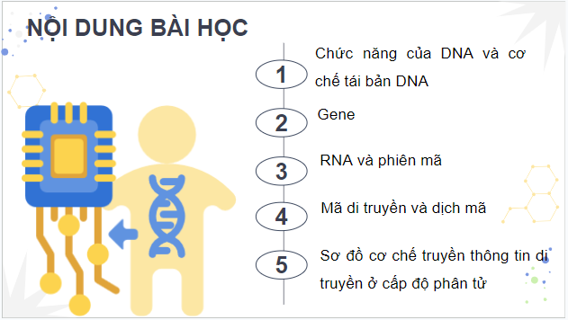 Giáo án điện tử Sinh 12 Chân trời sáng tạo Bài 1: Gene và cơ chế truyền thông tin di truyền | PPT Sinh học 12