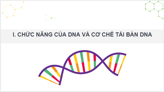 Giáo án điện tử Sinh 12 Chân trời sáng tạo Bài 1: Gene và cơ chế truyền thông tin di truyền | PPT Sinh học 12