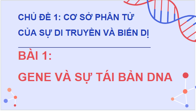 Giáo án điện tử Sinh 12 Cánh diều Bài 1: Gene và sự tái bản DNA | PPT Sinh học 12