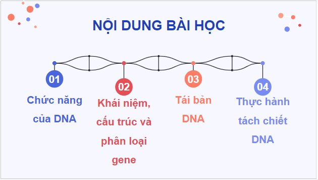 Giáo án điện tử Sinh 12 Cánh diều Bài 1: Gene và sự tái bản DNA | PPT Sinh học 12