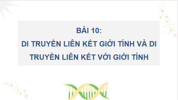 Giáo án điện tử Sinh 12 Kết nối tri thức Bài 10: Di truyền giới tính và di truyền liên kết với giới tính | PPT Sinh học 12