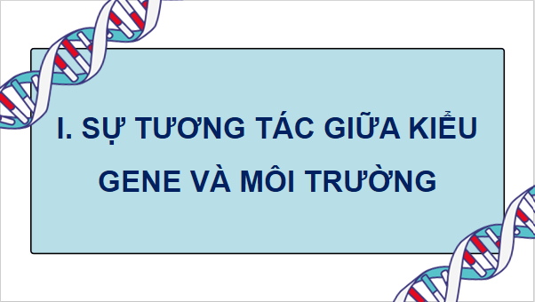 Giáo án điện tử Sinh 12 Chân trời sáng tạo Bài 10: Mối quan hệ giữa kiểu gene - kiểu hình - môi trường | PPT Sinh học 12
