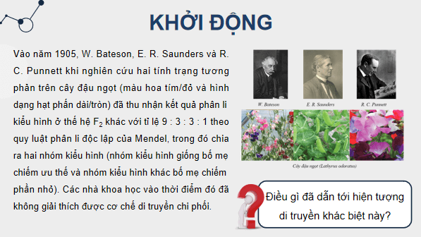 Giáo án điện tử Sinh 12 Kết nối tri thức Bài 11: Liên kết gene và hoán vị gene | PPT Sinh học 12