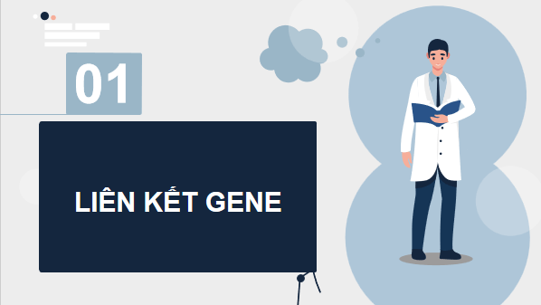 Giáo án điện tử Sinh 12 Kết nối tri thức Bài 11: Liên kết gene và hoán vị gene | PPT Sinh học 12