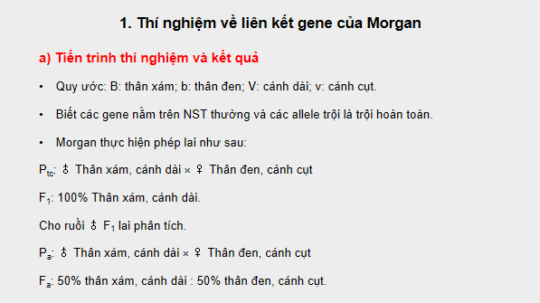 Giáo án điện tử Sinh 12 Kết nối tri thức Bài 11: Liên kết gene và hoán vị gene | PPT Sinh học 12