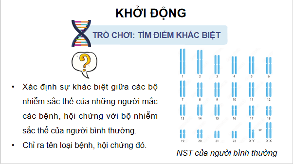Giáo án điện tử Sinh 12 Kết nối tri thức Bài 12: Đột biến nhiễm sắc thể | PPT Sinh học 12