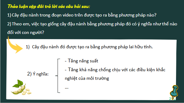 Giáo án điện tử Sinh 12 Cánh diều Bài 12: Thành tựu chọn, tạo giống bằng lai hữu tính | PPT Sinh học 12