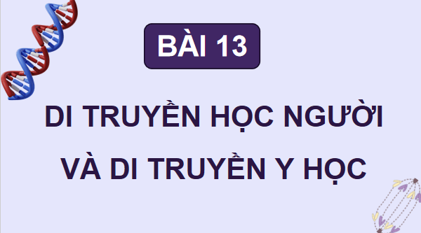 Giáo án điện tử Sinh 12 Kết nối tri thức Bài 13: Di truyền học người và di truyền y học | PPT Sinh học 12