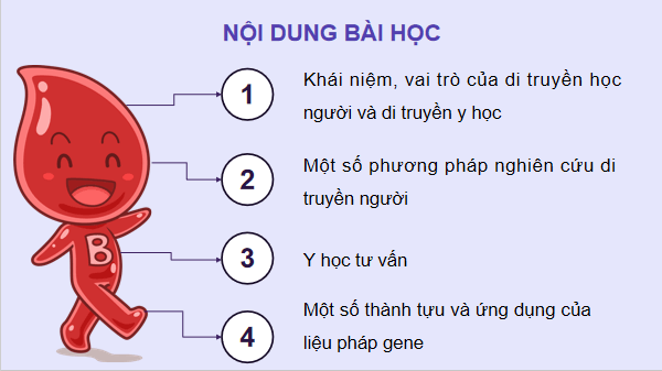 Giáo án điện tử Sinh 12 Kết nối tri thức Bài 13: Di truyền học người và di truyền y học | PPT Sinh học 12