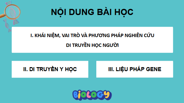 Giáo án điện tử Sinh 12 Cánh diều Bài 14: Di truyền học người | PPT Sinh học 12