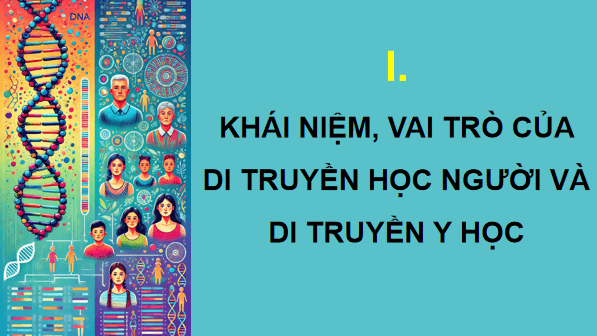 Giáo án điện tử Sinh 12 Chân trời sáng tạo Bài 14: Di truyền học người | PPT Sinh học 12