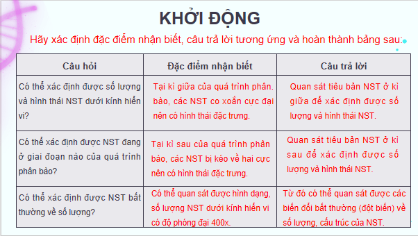 Giáo án điện tử Sinh 12 Kết nối tri thức Bài 14: Thực hành: Quan sát một số dạng đột biến nhiễm sắc thể | PPT Sinh học 12