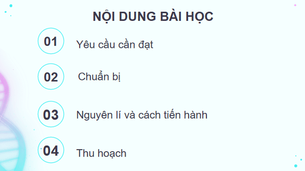 Giáo án điện tử Sinh 12 Kết nối tri thức Bài 14: Thực hành: Quan sát một số dạng đột biến nhiễm sắc thể | PPT Sinh học 12