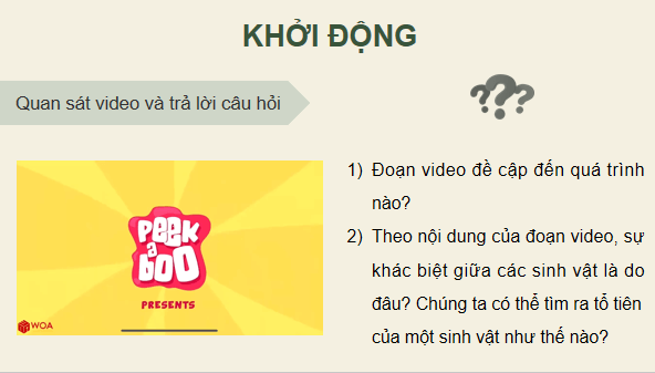Giáo án điện tử Sinh 12 Cánh diều Bài 15: Bằng chứng tiến hoá | PPT Sinh học 12