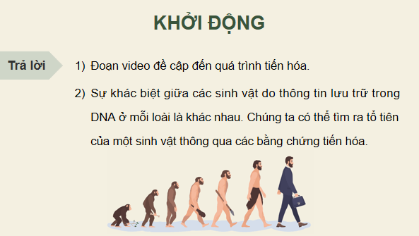 Giáo án điện tử Sinh 12 Cánh diều Bài 15: Bằng chứng tiến hoá | PPT Sinh học 12