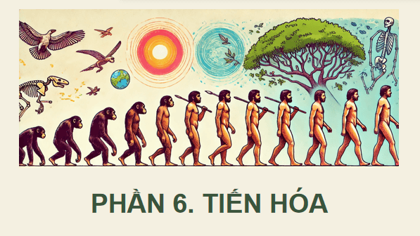 Giáo án điện tử Sinh 12 Cánh diều Bài 15: Bằng chứng tiến hoá | PPT Sinh học 12