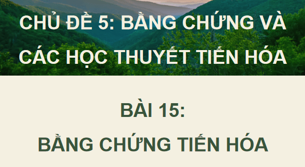 Giáo án điện tử Sinh 12 Cánh diều Bài 15: Bằng chứng tiến hoá | PPT Sinh học 12