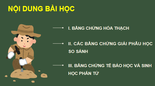 Giáo án điện tử Sinh 12 Cánh diều Bài 15: Bằng chứng tiến hoá | PPT Sinh học 12