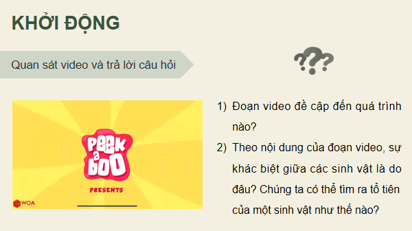 Giáo án điện tử Sinh 12 Chân trời sáng tạo Bài 15: Các bằng chứng tiến hoá | PPT Sinh học 12