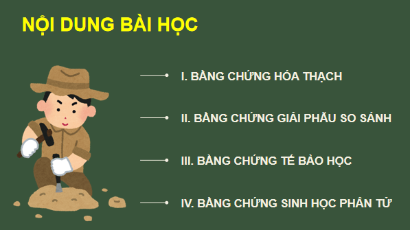 Giáo án điện tử Sinh 12 Chân trời sáng tạo Bài 15: Các bằng chứng tiến hoá | PPT Sinh học 12